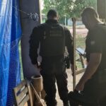 PF realiza operação contra grilagem de terras públicas em Anapu e Senador José Porfírio (PA)