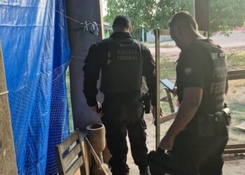 PF faz operação contra grilagem de terras públicas no Pará — Foto: PF/Divulgação
