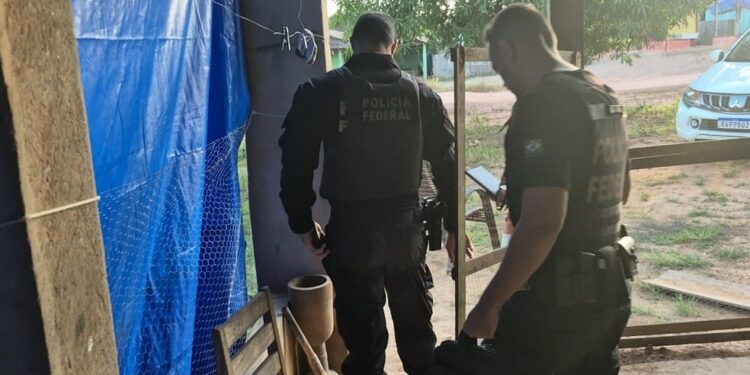 PF realiza operação contra grilagem de terras públicas em Anapu e Senador José Porfírio (PA)