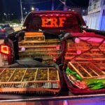 PRF resgata 317 aves silvestres transportadas ilegalmente na BR-163, em Santarém/PA