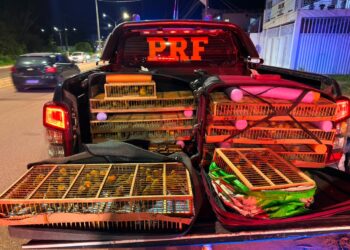 Foto: PRF / Divulgação.