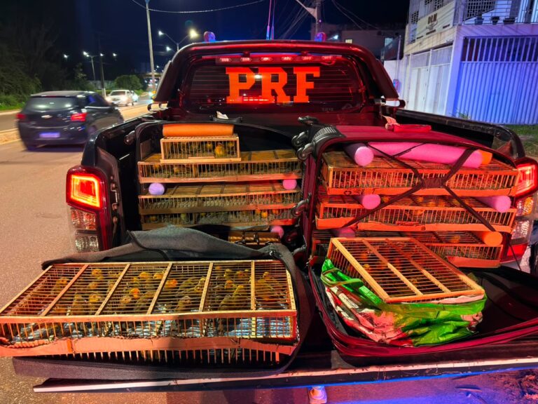 Foto: PRF / Divulgação.