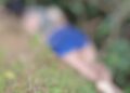 Polícia investiga dois corpos encontrados em áreas de mata em Altamira e Brasil Novo; casos podem ter relação