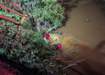 Homem morre após carro cair em rio no Pará — Foto: Bombeiros/Reprodução.