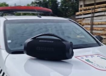 Residência é alvo de furto em Vitória do Xingu, mas proprietário recupera os objetos abandonados em uma área de mata. Confira os detalhes na reportagem da TV Vitória