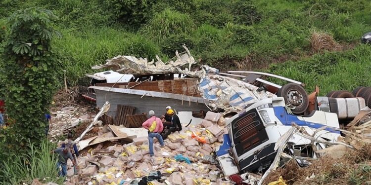 Mulher morre após carreta carregada com frangos tombar na BR-230, em Pacajá (PA)