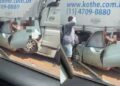 Acidente entre carretas e carro deixa dois mortos e interdita a PA-150, em Tailândia. (Reprodução/ redes sociais)