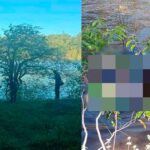 Corpo em decomposição é encontrado às margens de rio, em Alter do Chão, em Santarém
