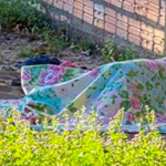Mulher é encontrada morta com lesões na cabeça em terreno abandonado de Santarém