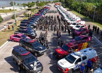 Operação Escudo Feminino registra prisões e atende mais de 400 mulheres no primeiro dia