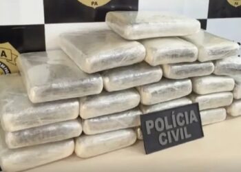 Homem é preso com 22 kg de maconha escondidos em malas na Transamazônica, em Altamira — Foto: Ascom/PC