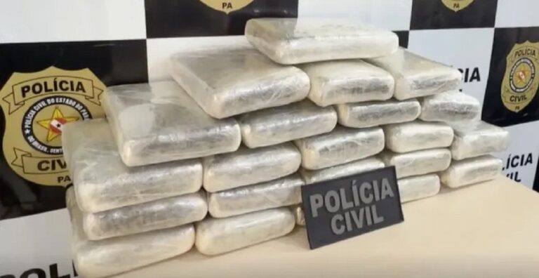 Homem é preso com 22 kg de maconha escondidos em malas na Transamazônica, em Altamira — Foto: Ascom/PC