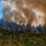 Incêndio atinge Terra Indígena Apyterewa, no Pará