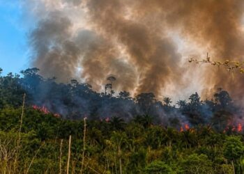 Incêndio na Terra Indígena Apyterewa, do povo Parakanã, no Pará. — Foto: Reprodução / Redes sociais