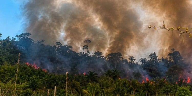 Incêndio atinge Terra Indígena Apyterewa, no Pará