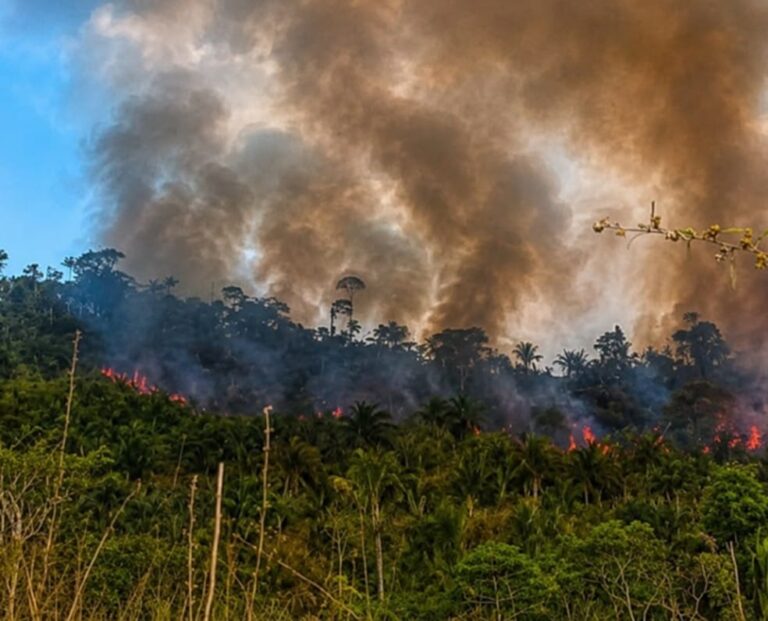 Incêndio na Terra Indígena Apyterewa, do povo Parakanã, no Pará. — Foto: Reprodução / Redes sociais