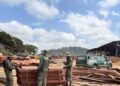 Madeireira ilegal que recebia madeira de terra indígena é desativada em Uruará, no Pará .