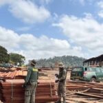 Madeireira clandestina que recebia madeira de Terra Indígena é desativada durante operação em Uruará