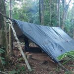 PF cumpre mandados contra exploração ilegal de madeira em terra indígena no sudoeste do Pará