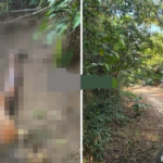 Restos mortais são encontrados em plantação de dendê em Mãe do Rio
