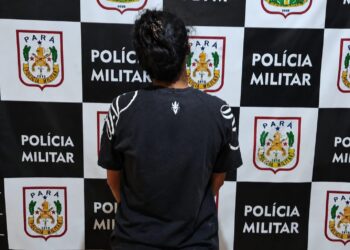 Foto: PMPA / Divulgação