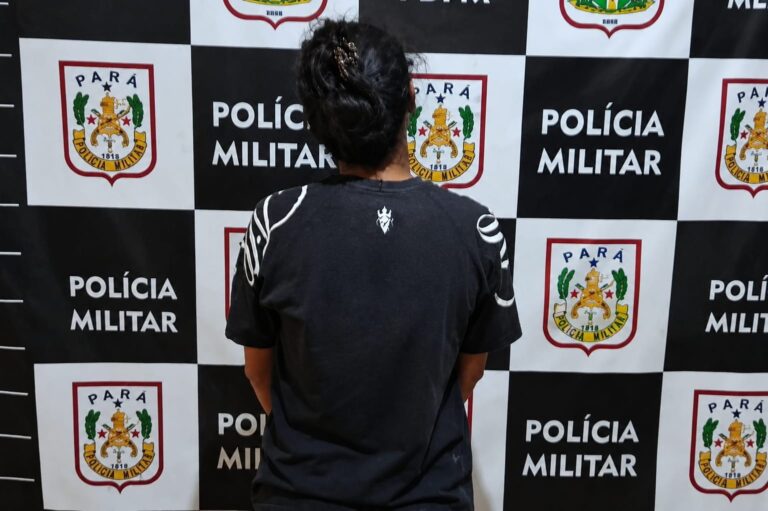 Foto: PMPA / Divulgação