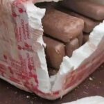VÍDEO: Motociclista cai e espalha tabletes de drogas pela Transamazônica, em Medicilândia (PA)
