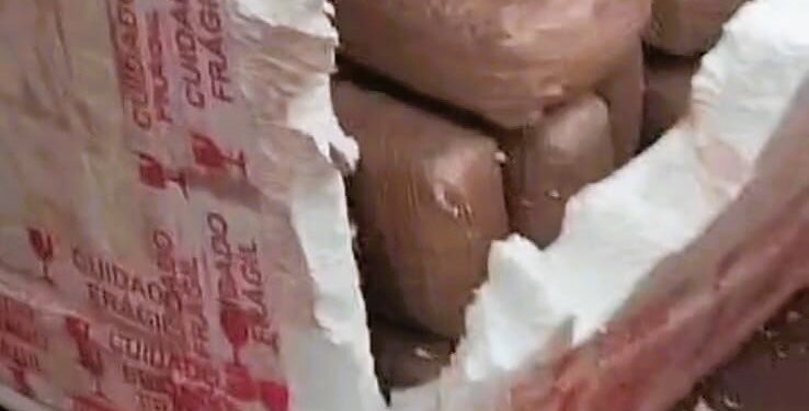 VÍDEO: Motociclista cai e espalha tabletes de drogas pela Transamazônica, em Medicilândia (PA)