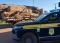 PRF apreende 19 m³ de madeira transportada de forma irregular em Trairão (PA)