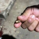 Homem é baleado no tórax e no rosto durante tentativa de homicídio em bar de Altamira