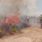 Voluntários participam de curso de formação para brigadistas de incêndio florestal em Vitória do Xingu (PA)