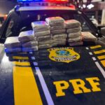 PRF apreende mais de 25 kg de skunk em ônibus na BR-230, em Altamira (PA)