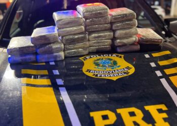 PRF apreende mais de 25 kg de skunk em ônibus na BR-230, em Altamira (PA)