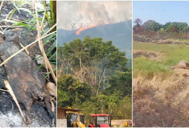 Focos de incêndio e mortes de animais são registrados por indígenas Parakanã, na Terra Indígena Apyterewa, no Pará. — Foto: Reprodução / Instituto Socioambiental.